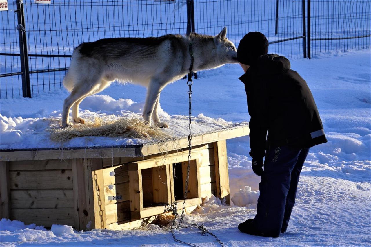 Old Pine Husky Lodge Sompujarvi Exterior foto