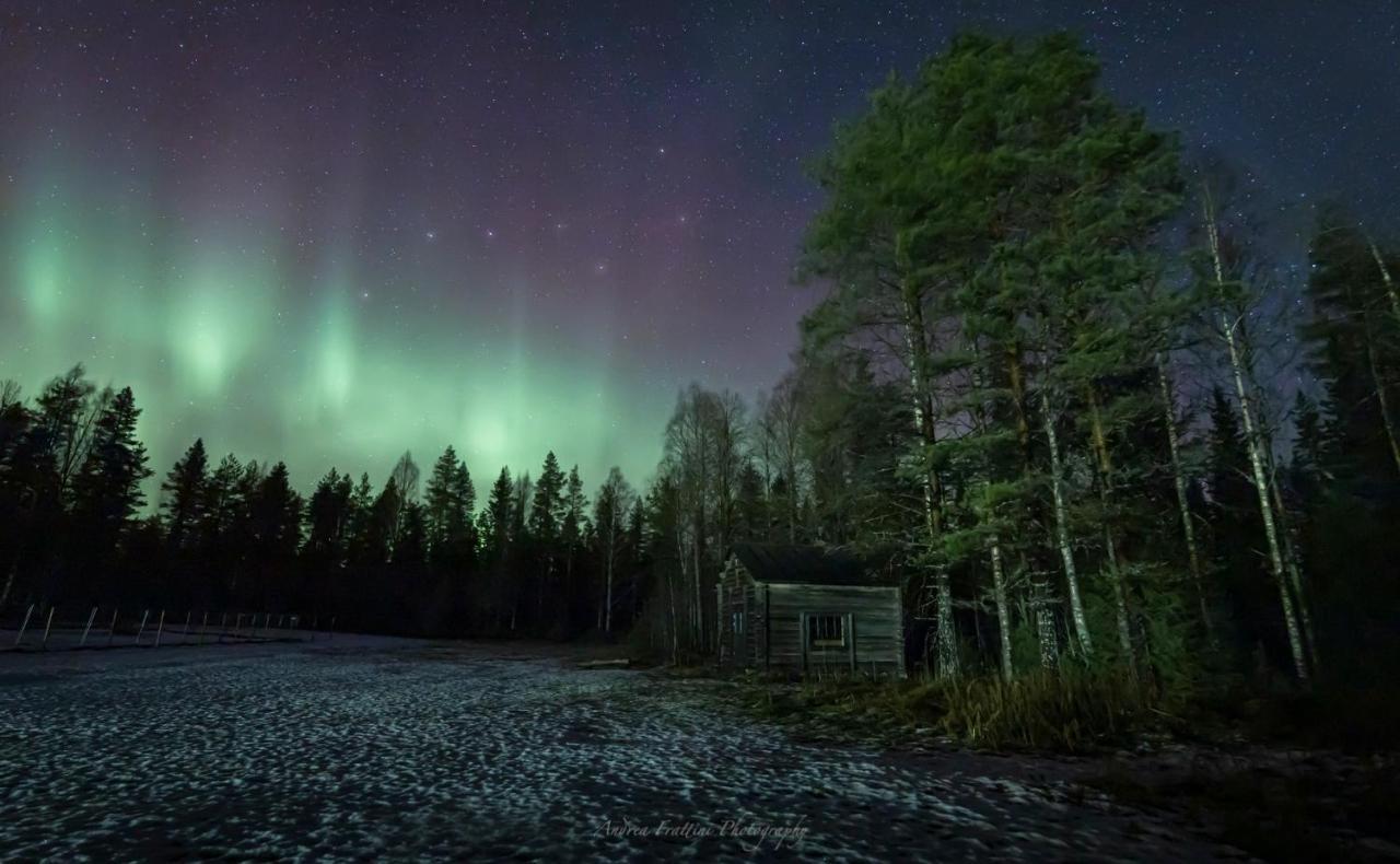 Old Pine Husky Lodge Sompujarvi Exterior foto
