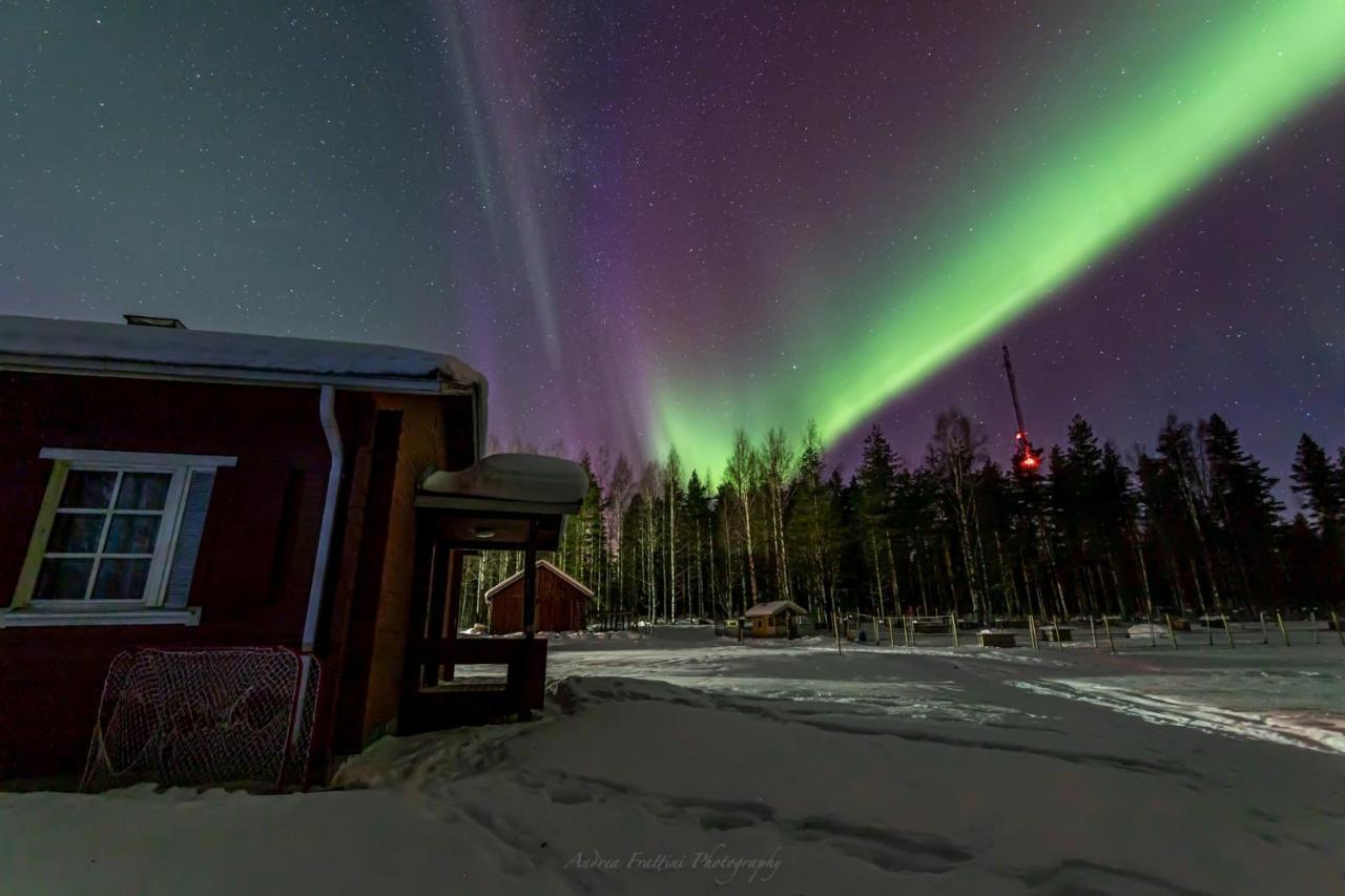 Old Pine Husky Lodge Sompujarvi Exterior foto